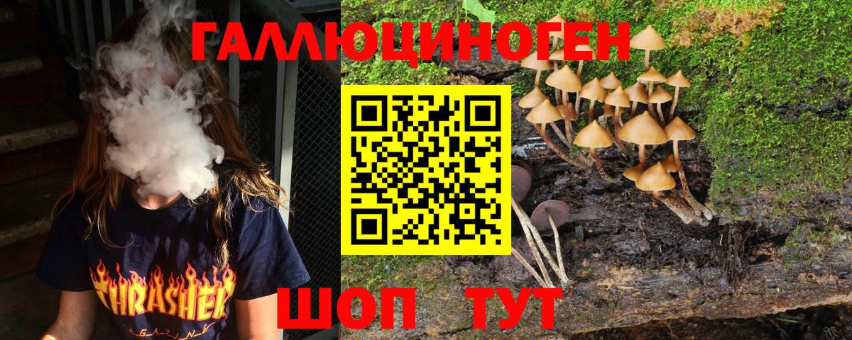 Ипатово  Псилоцибиновые грибы Psilocybe  Вход с VPN 